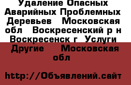 Удаление Опасных Аварийных Проблемных Деревьев - Московская обл., Воскресенский р-н, Воскресенск г. Услуги » Другие   . Московская обл.